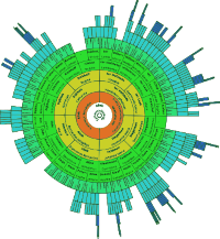Stamboom-FanChart